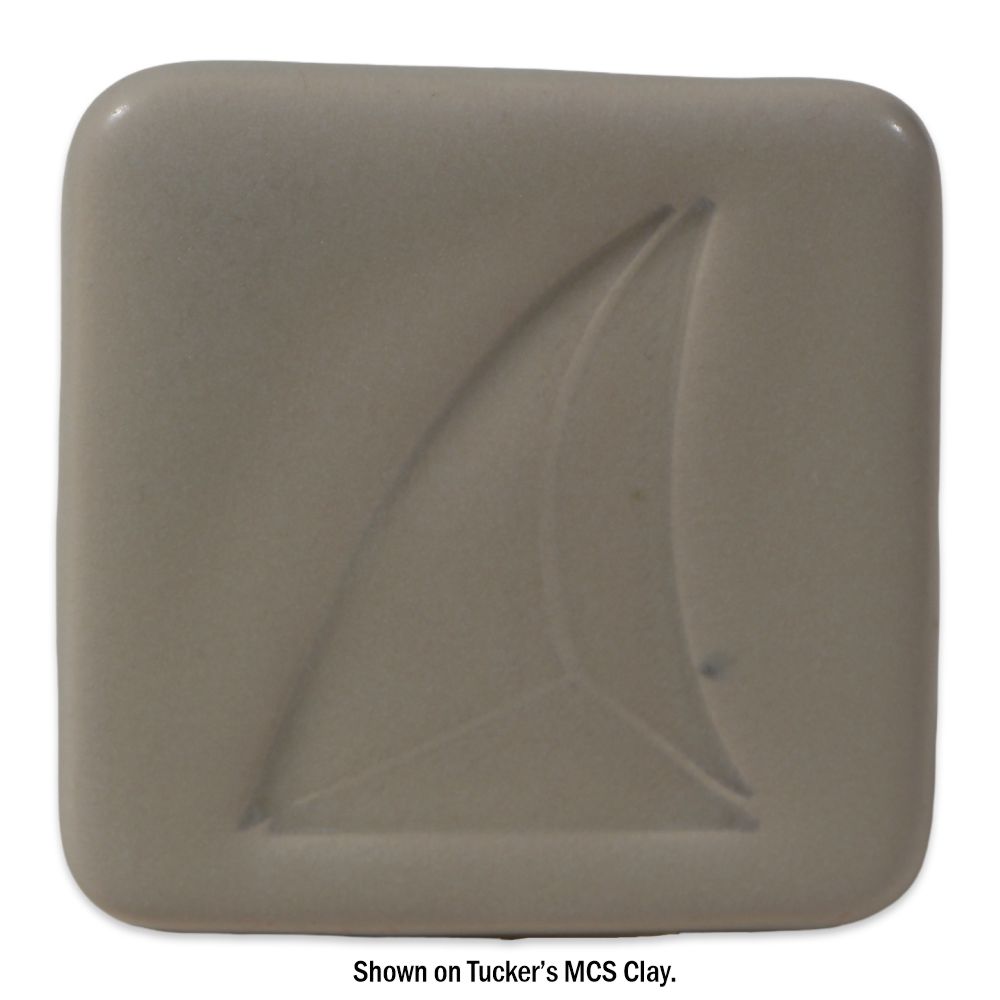 670T Bone - Image 2